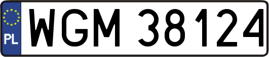 WGM38124