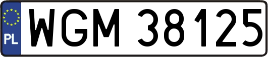 WGM38125
