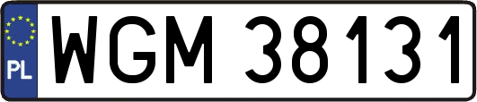 WGM38131