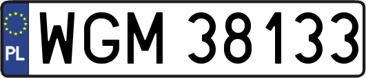 WGM38133