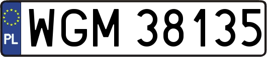 WGM38135