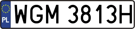 WGM3813H