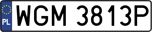WGM3813P