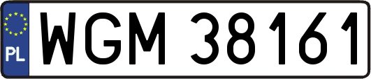 WGM38161