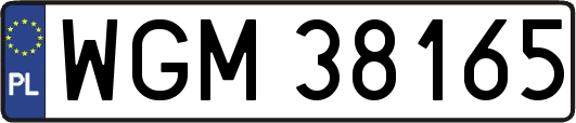 WGM38165