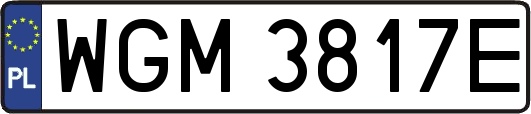WGM3817E