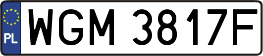 WGM3817F