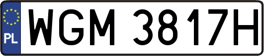 WGM3817H
