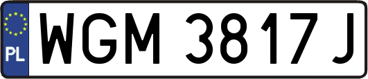 WGM3817J