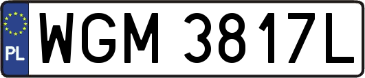 WGM3817L