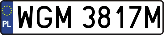 WGM3817M