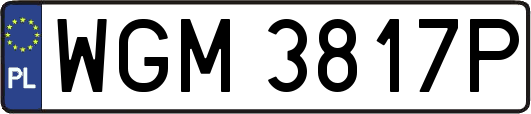 WGM3817P