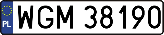 WGM38190
