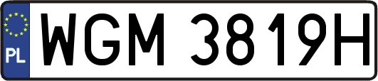 WGM3819H