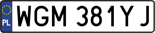 WGM381YJ