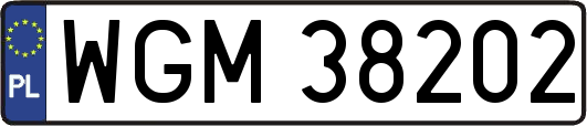 WGM38202