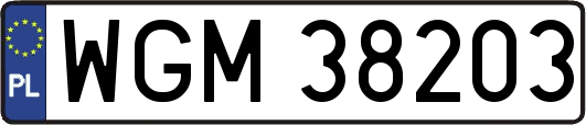 WGM38203