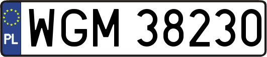 WGM38230