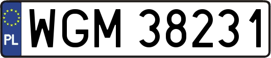 WGM38231