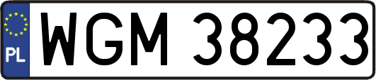 WGM38233