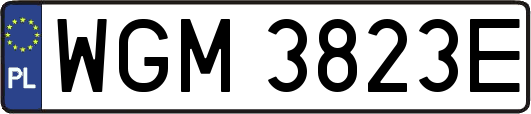 WGM3823E