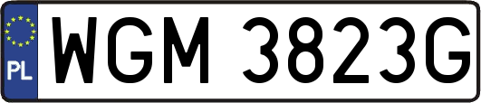 WGM3823G