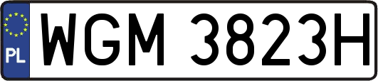 WGM3823H