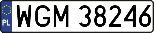 WGM38246