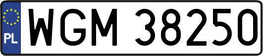 WGM38250