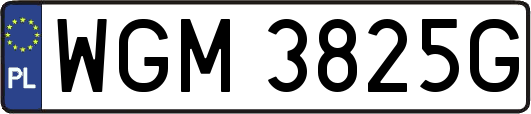 WGM3825G