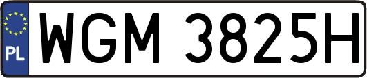 WGM3825H
