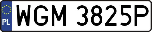 WGM3825P