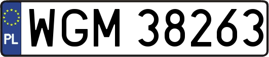 WGM38263