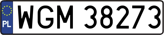 WGM38273