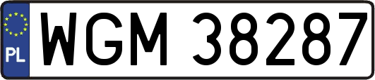 WGM38287