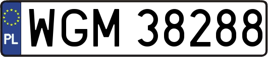 WGM38288