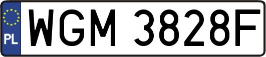 WGM3828F