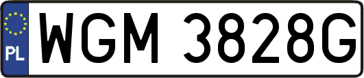 WGM3828G