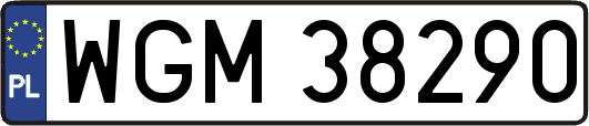 WGM38290