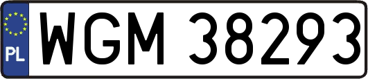 WGM38293