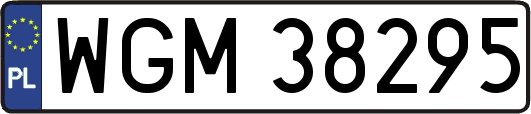 WGM38295