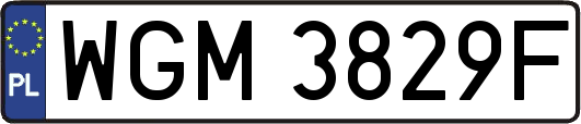 WGM3829F
