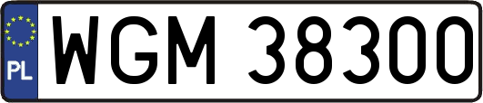 WGM38300