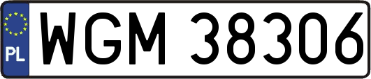 WGM38306