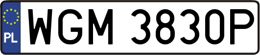 WGM3830P