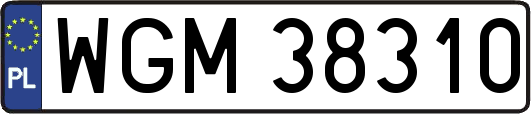 WGM38310