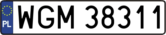 WGM38311