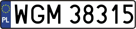 WGM38315