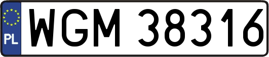 WGM38316