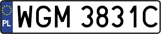 WGM3831C